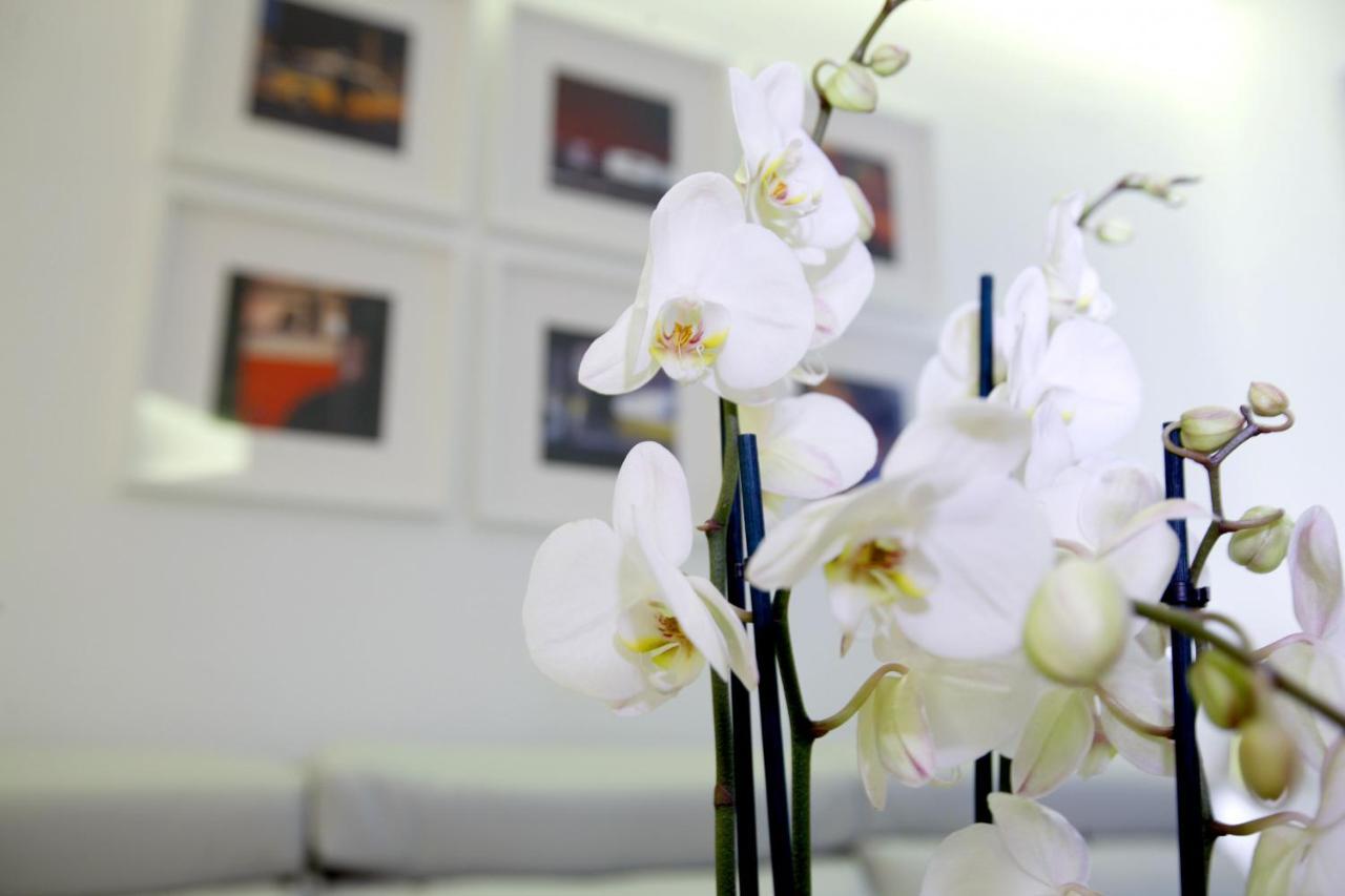Plaza Mayor By Madflats Collection * Madrid